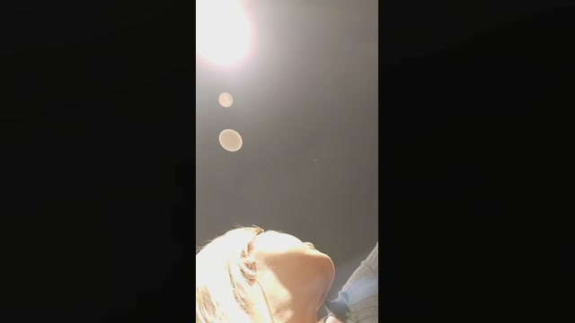 lilia_fun  08-10-2022
